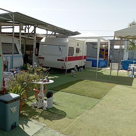Camping Mascotas cerca de Alicante Sax Exterior foto