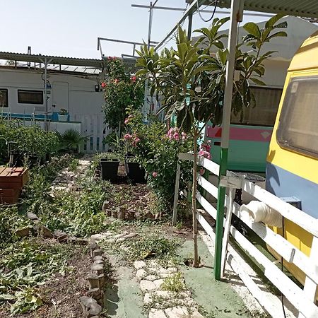 Camping Mascotas cerca de Alicante Sax Exterior foto