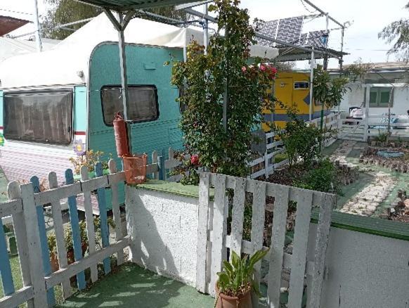 Camping Mascotas cerca de Alicante Sax Exterior foto