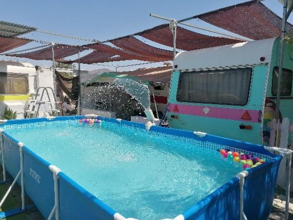 Camping Mascotas cerca de Alicante Sax Exterior foto