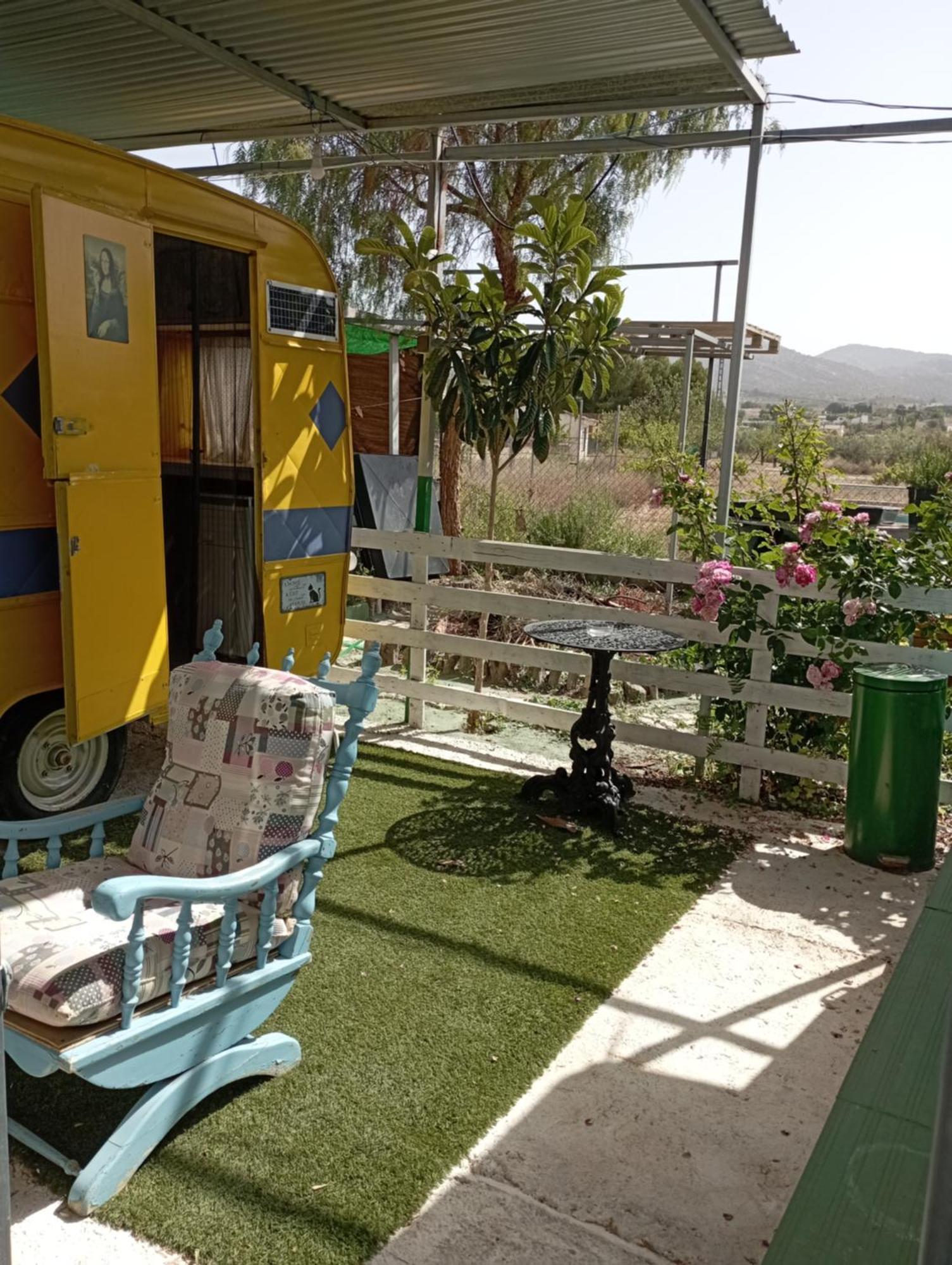 Camping Mascotas cerca de Alicante Sax Exterior foto